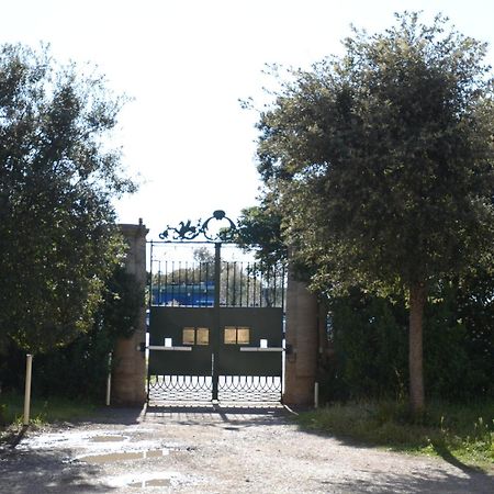Villa Anselmi - Arteindiretta Ливорно Экстерьер фото